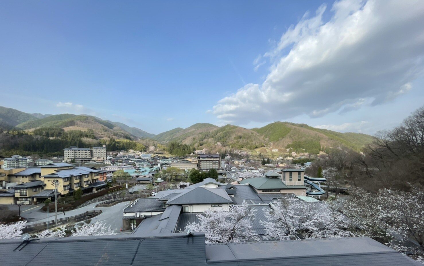 ひるがみの森の場内の写真